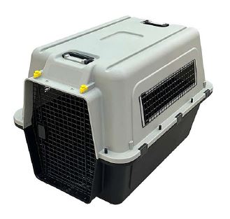 Kennel BB35